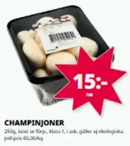 Tempo Champinjoner erbjuda