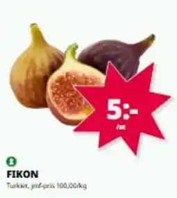 Tempo Fikon erbjuda