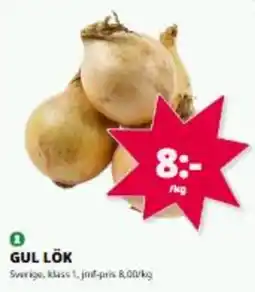 Tempo Gul lök erbjuda