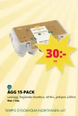 Tempo Ägg 15-pack erbjuda