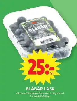 ICA Maxi Blåbär i ask erbjuda