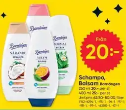 DollarStore Barnängen schampo, balsam erbjuda
