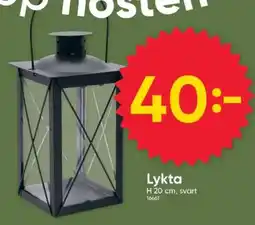 DollarStore LYKTA erbjuda