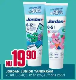 ÖoB JORDAN JUNIOR TANDKRÄM erbjuda