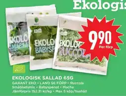 Willys Ekologisk Sallad 65g erbjuda