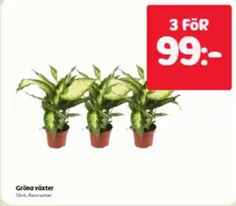 Gröna växter