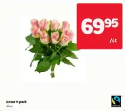 Hemköp Rosor 9-pack erbjuda