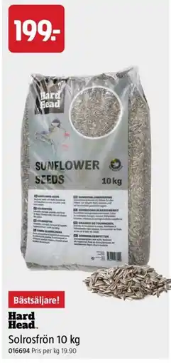 Jula Hard Head Solrosfrön erbjuda