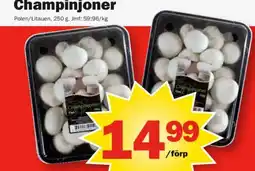 Pekås Champinjoner erbjuda