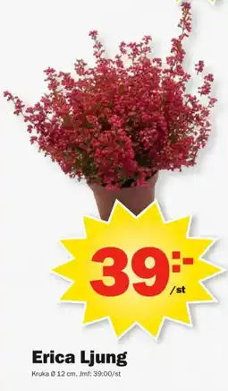 Pekås Erica Ljung erbjuda