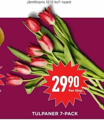 Willys Tulpaner 7-pack erbjuda