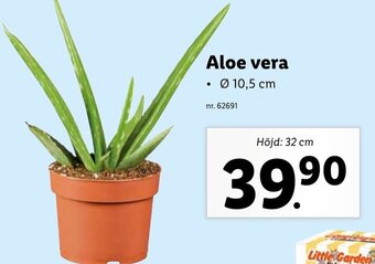 Lidl Aloe Vera erbjuda
