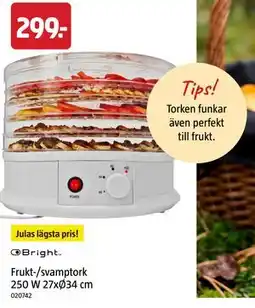 Jula Frukt-/svamptork 250 W 27xØ34 cm erbjuda