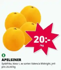 Tempo Apelsiner erbjuda