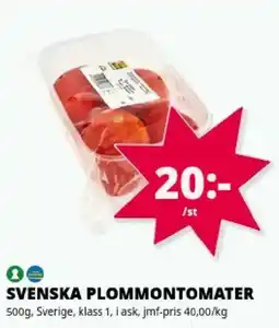 Tempo Plommontomater erbjuda