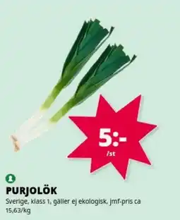 Tempo Purjolök erbjuda
