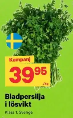 City Gross Bladpersilja erbjuda