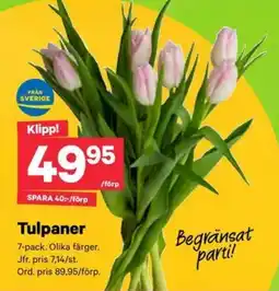 City Gross Tulpaner erbjuda