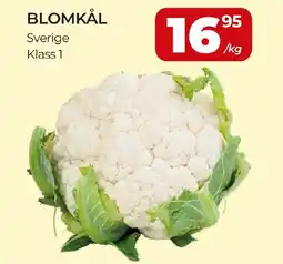 Matrix Butikerna Blomkål erbjuda