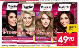 Rusta Hårfärg Palette erbjuda