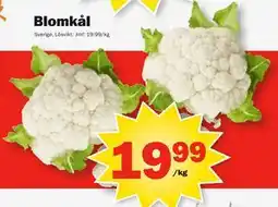 Pekås Blomkål erbjuda