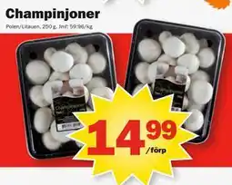 Pekås Champinjoner erbjuda