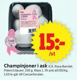 ICA Supermarket Champinjoner i ask erbjuda