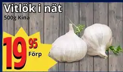 Supergrossen Vitlök i nät erbjuda