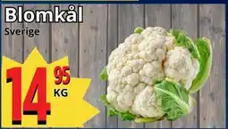 Supergrossen Blomkål erbjuda