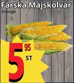 Supergrossen Färska Majskolvar erbjuda