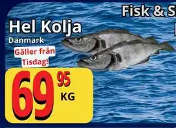 Supergrossen Hel Kolja erbjuda