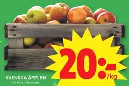 ICA Maxi Äpplen erbjuda