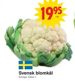 Matöppet Blomkål erbjuda