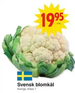Matöppet Svensk blomkål erbjuda