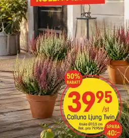 EKO Calluna Ljung Twin erbjuda