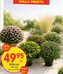 EKO Bollkryss erbjuda