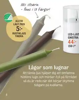 Mio RUSTIKLJUS TINDRA erbjuda