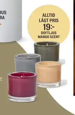Mio DOFTLJUS MANGO SCENT erbjuda