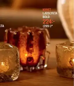 Mio LJUSLYKTA BOLD erbjuda