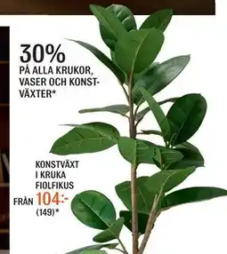Mio KONSTVÄXT I KRUKA FIOLFIKUS erbjuda