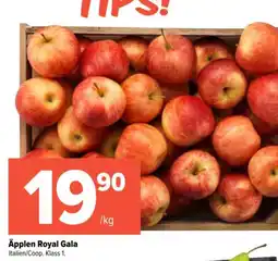 Coop Extra Äpplen Royal Gala erbjuda