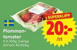 Nya Pulsen Plommon-tomater erbjuda