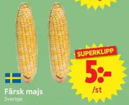Nya Pulsen Färsk majs erbjuda