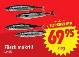 Nya Pulsen Leröy färsk makrill erbjuda