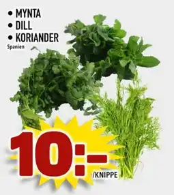 Rinkeby Matcenter Mynta Dill Koriander erbjuda