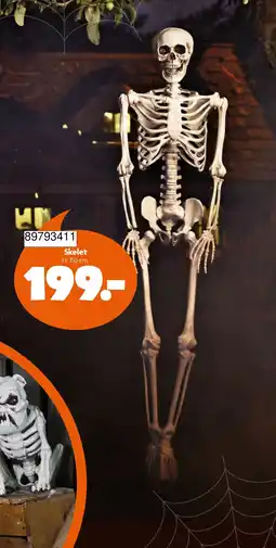BR leksaker Skelet erbjuda