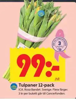 ICA Supermarket TULPANER 12-PACK erbjuda