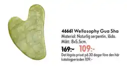 Oriflame Welloosophy Gua Sha erbjuda