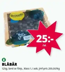 Tempo Driscoll's blåbär erbjuda