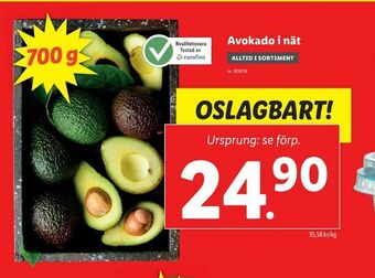 Lidl Avokado i nät erbjuda